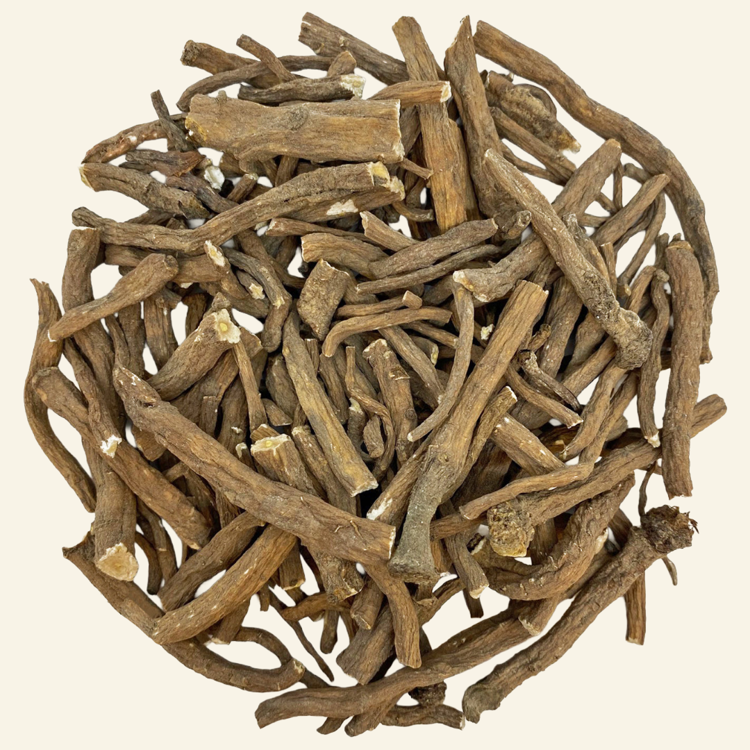 Dandelion Root