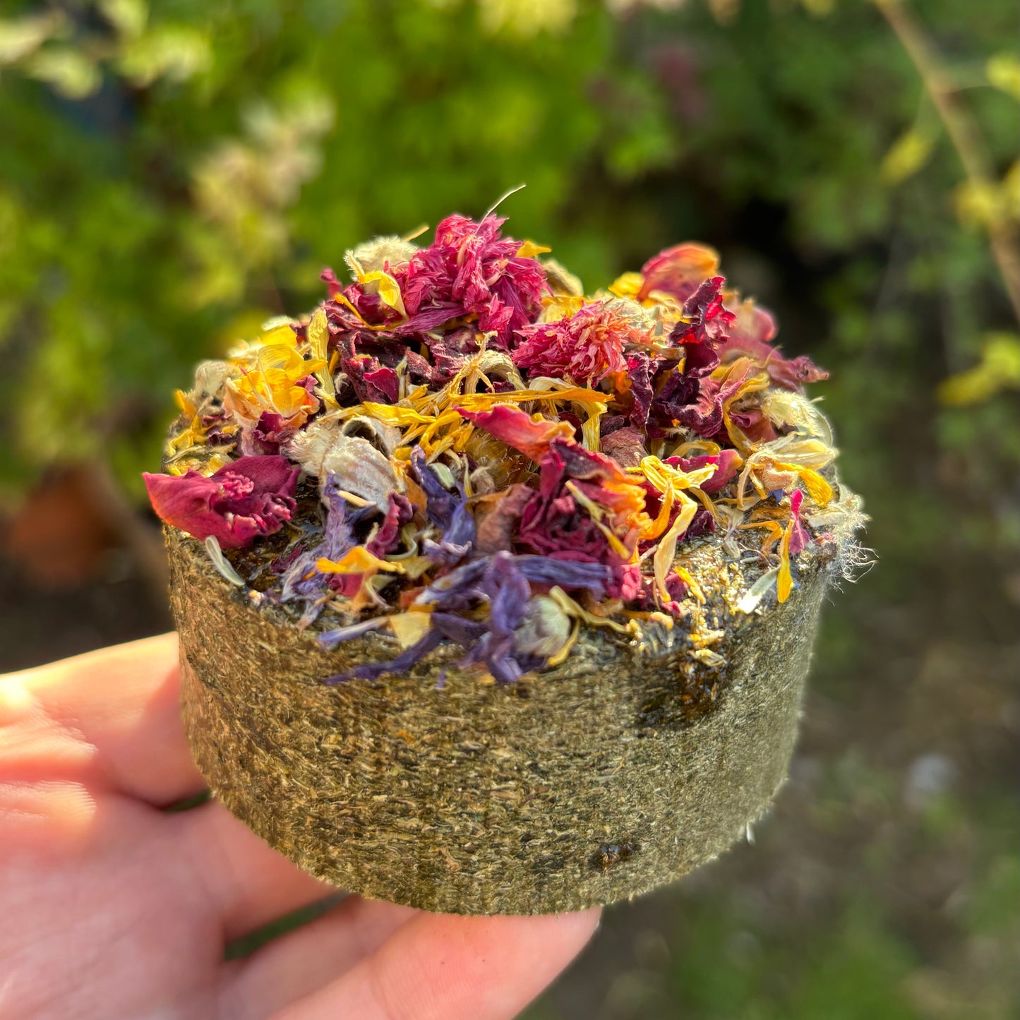 Botanical Cookies