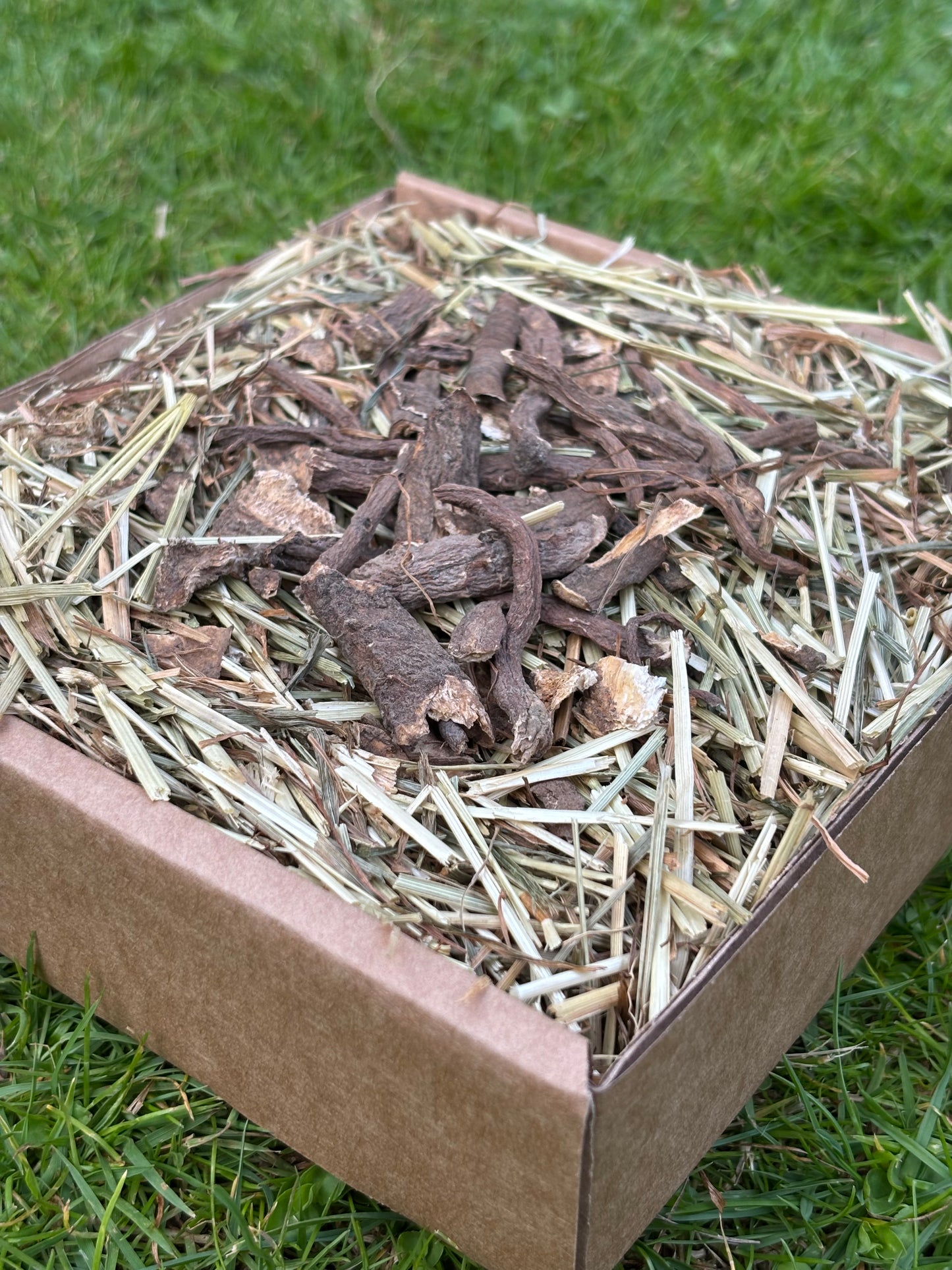 Dandelion Root Forage Tray