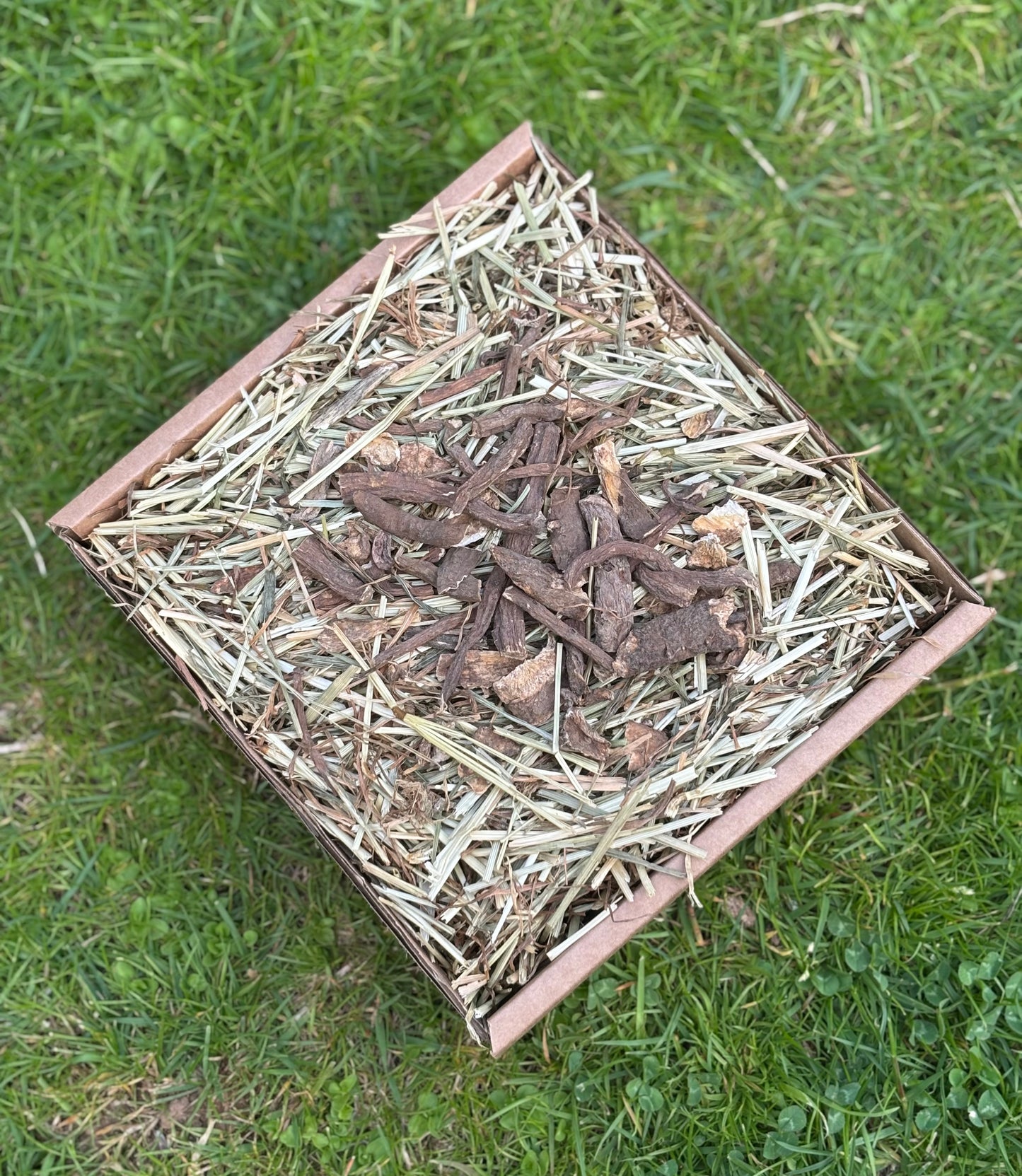 Dandelion Root Forage Tray