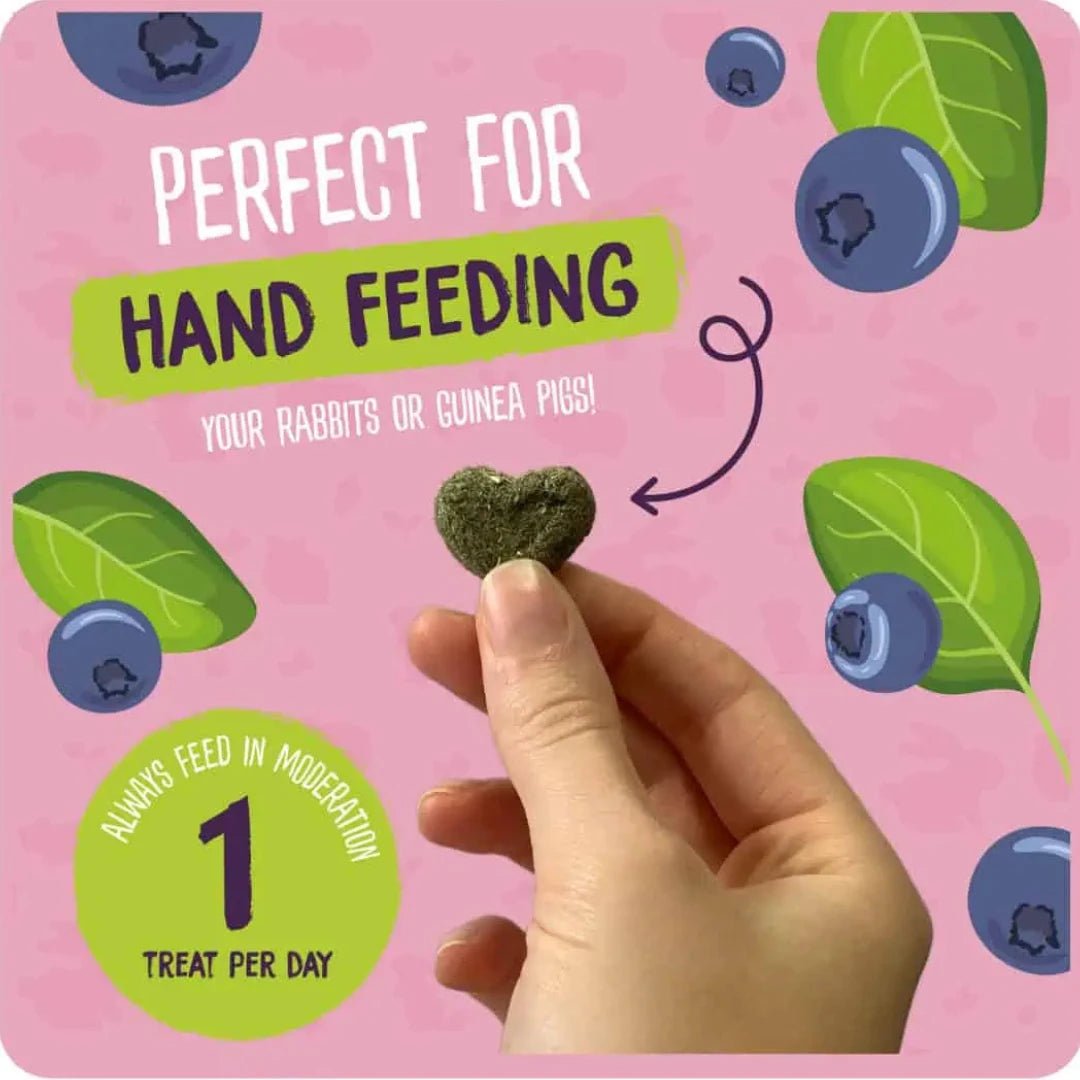 Burgess Sunshine Snacks With Blueberry & Spinach