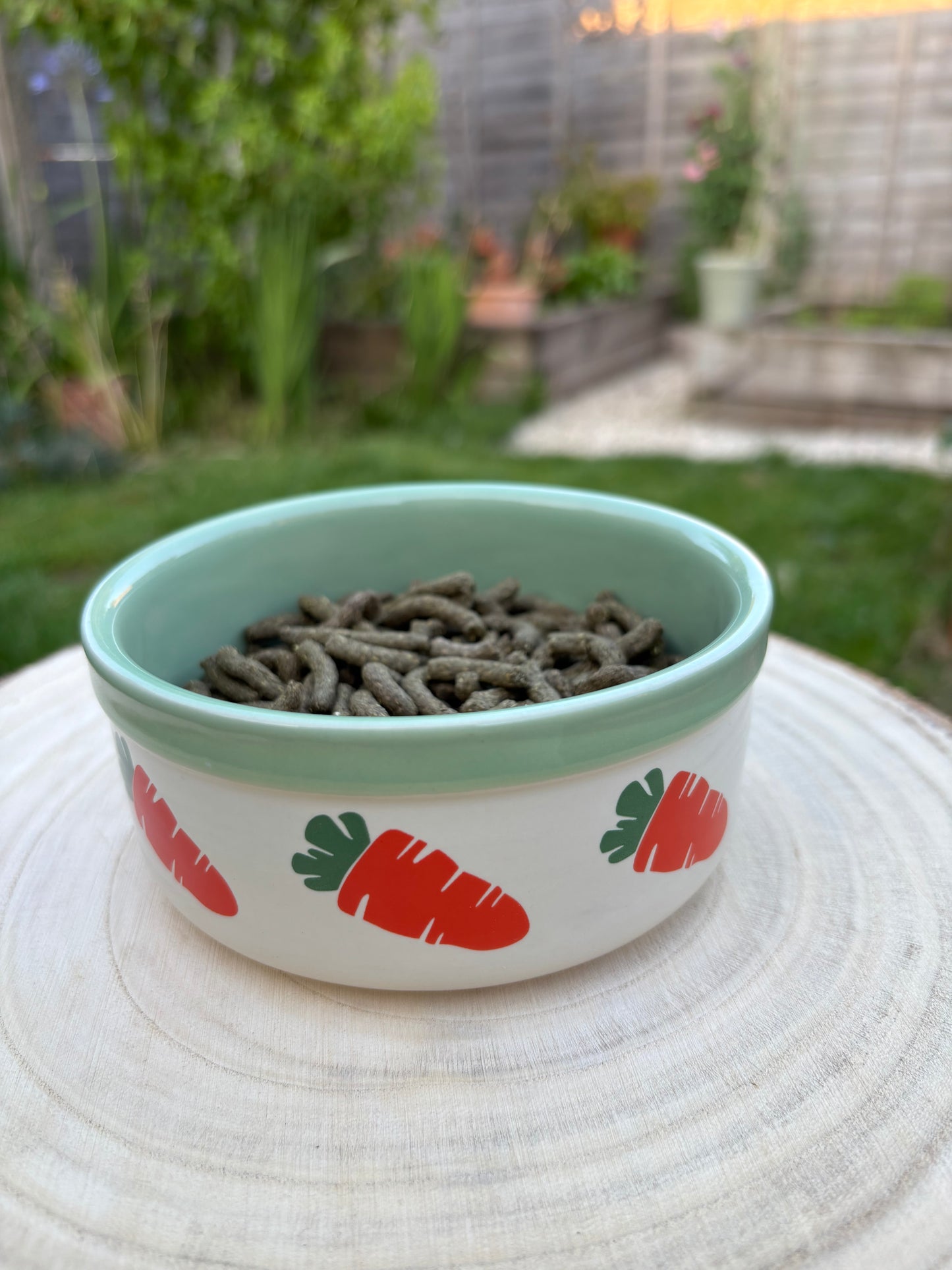 Ceramic Carrot Bowl