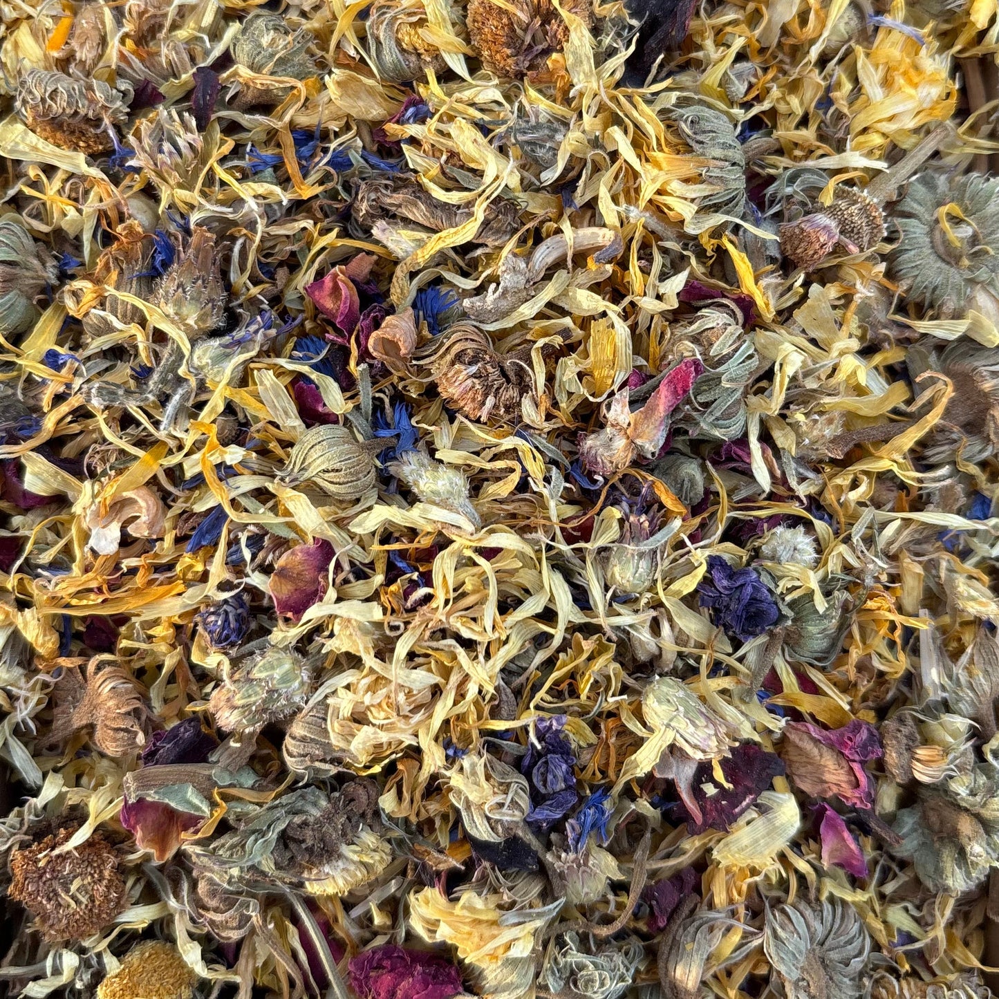 Springtime Forage Blend