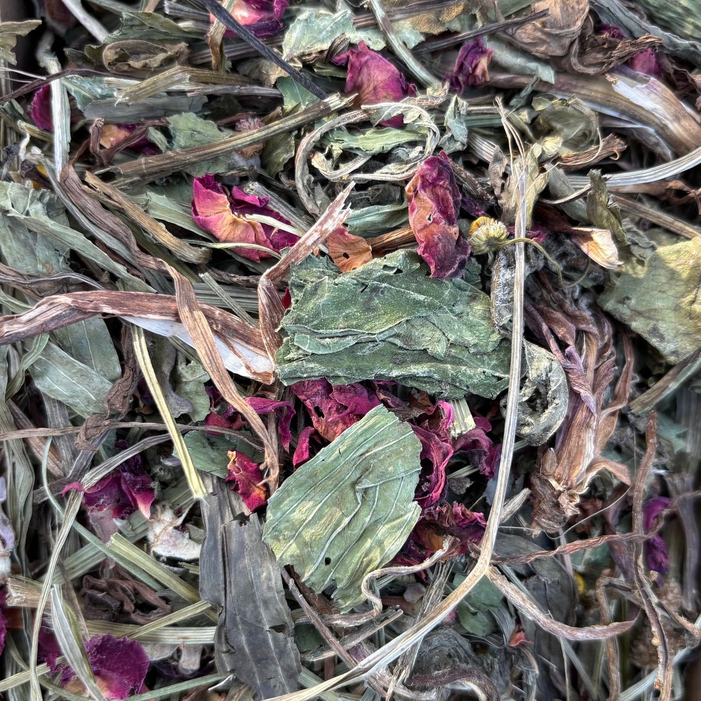 The Cosy Burrow Forage Blend