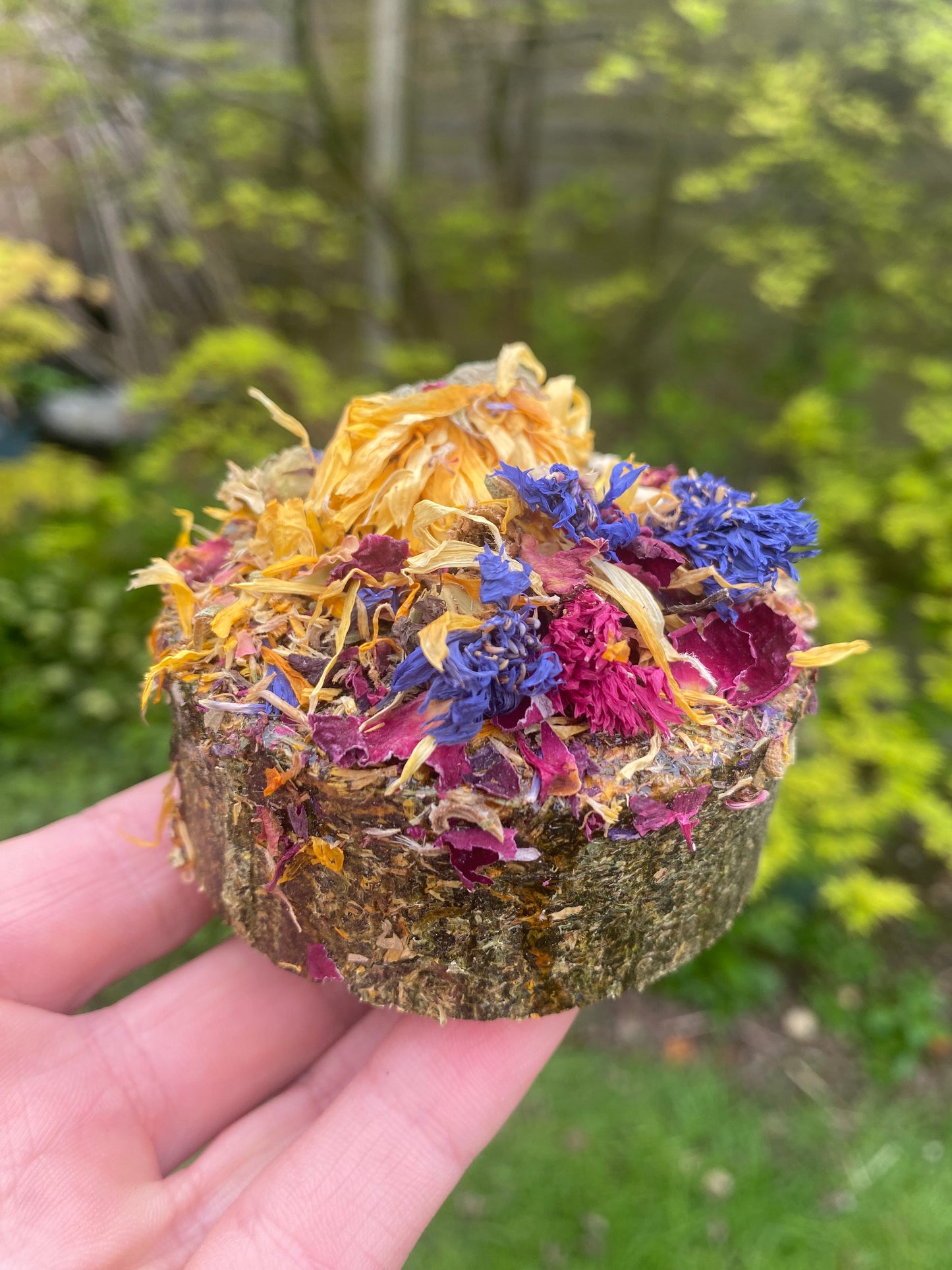 Botanical cookies