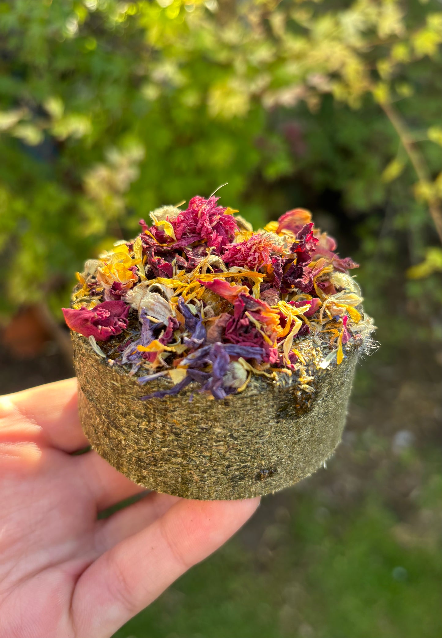 Botanical cookies