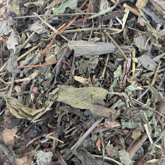 Dandelion Salad