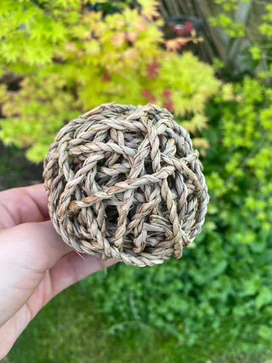 Seagrass play ball small