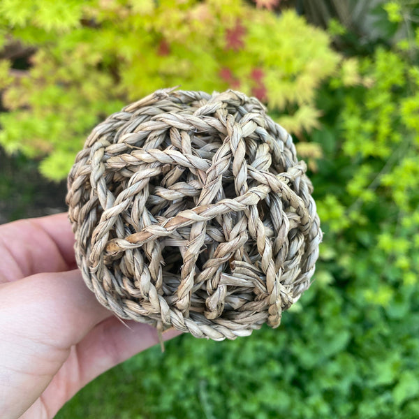Seagrass play ball small