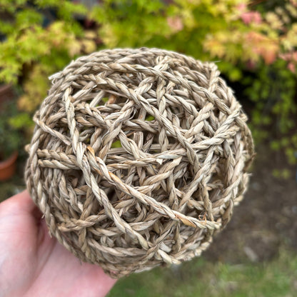 Seagrass play ball large