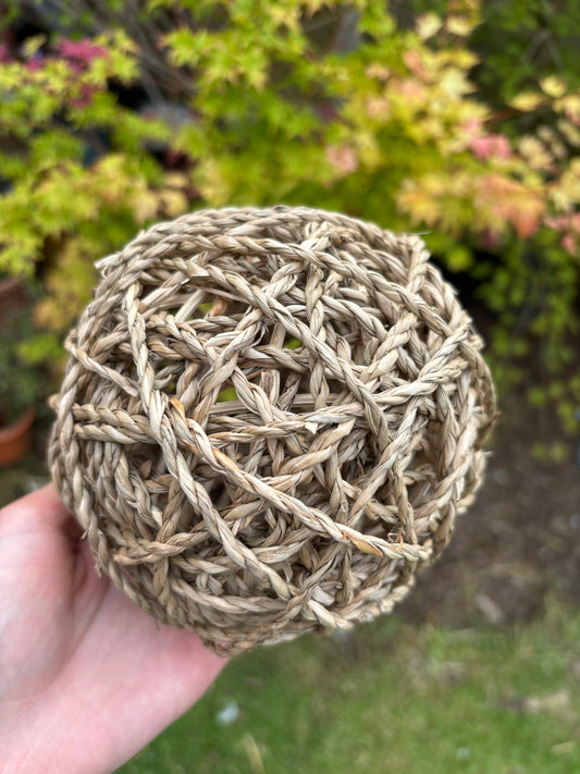 Seagrass play ball large