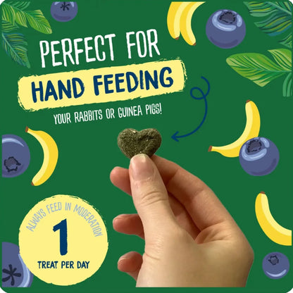 Burgess Excel Fruity Feasts With Banana & Blueberry