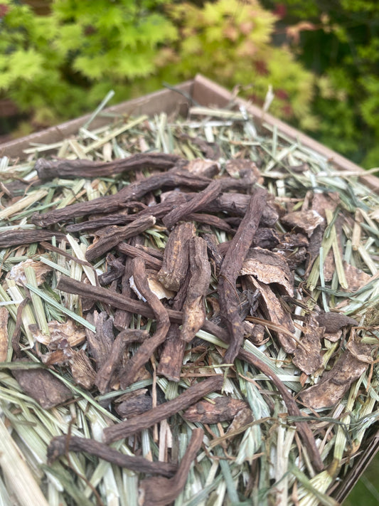 Dandelion Root Forage Tray