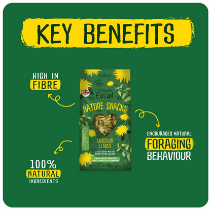 Burgess Excel Luscious leaves