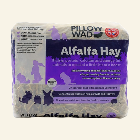 Pillow wad Alfalfa Hay 1kg