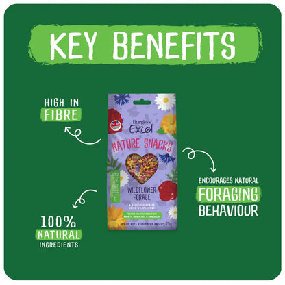 Burgess Excel Wildflower Forage