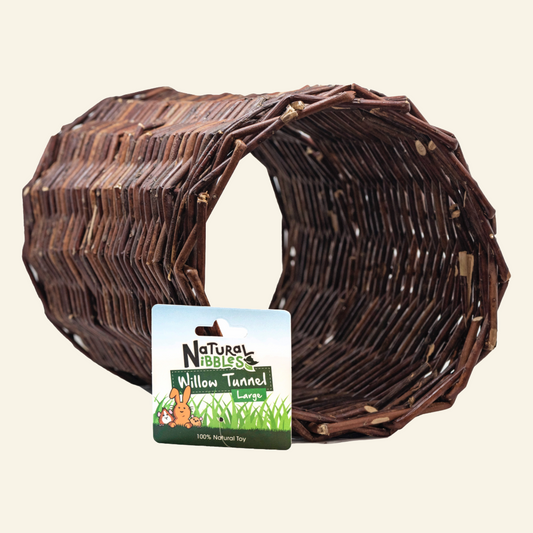 Willow Tunnel