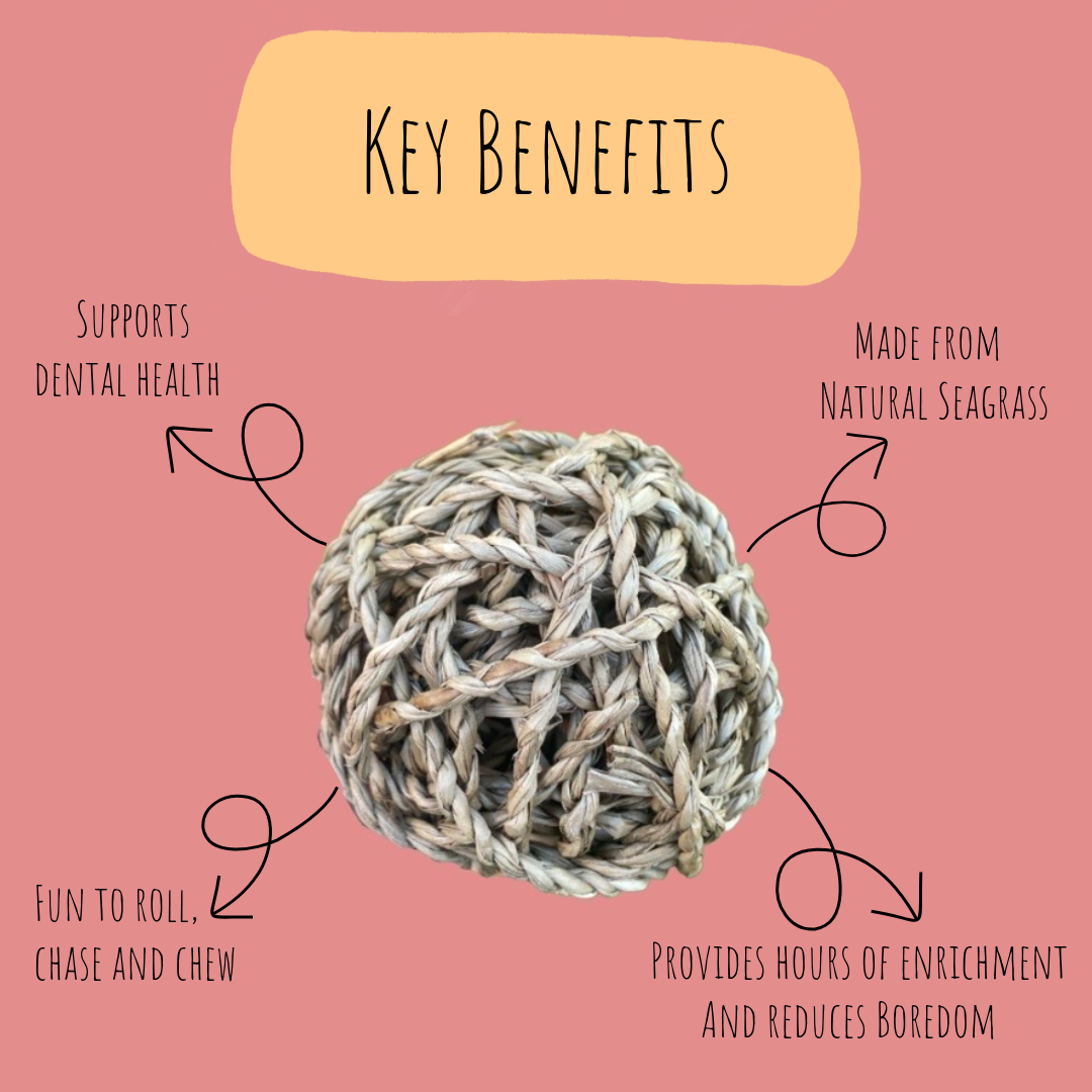 Seagrass play ball small