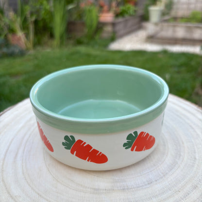 Ceramic Carrot Bowl