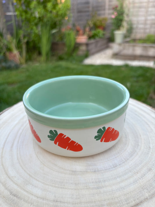 Ceramic Carrot Bowl