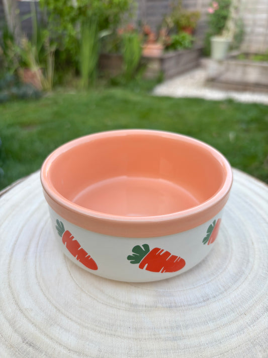 Ceramic Carrot Bowl