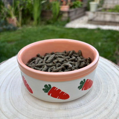 Ceramic Carrot Bowl
