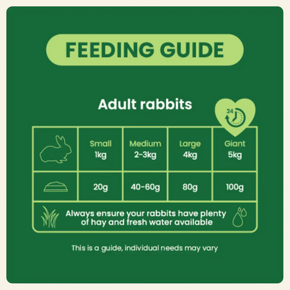Burgess Excel Adult Rabbit Nuggets With Mint