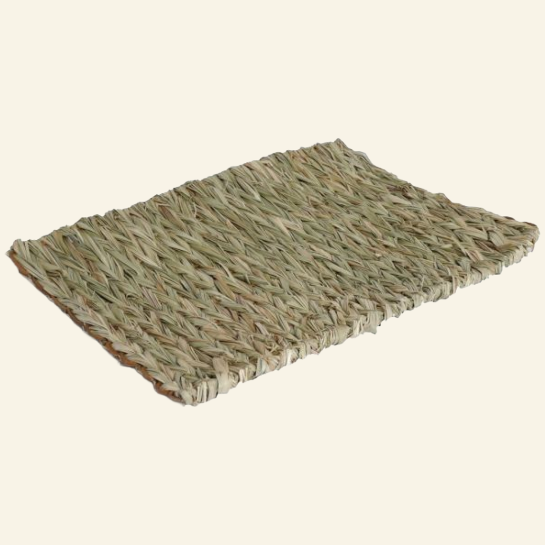 Rosewood Chill N Scratch Mat