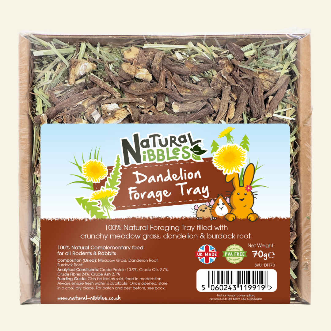 Dandelion Root Forage Tray