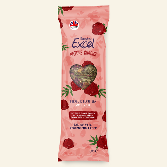 Burgess Excel Forage & Feast Bar With Rose