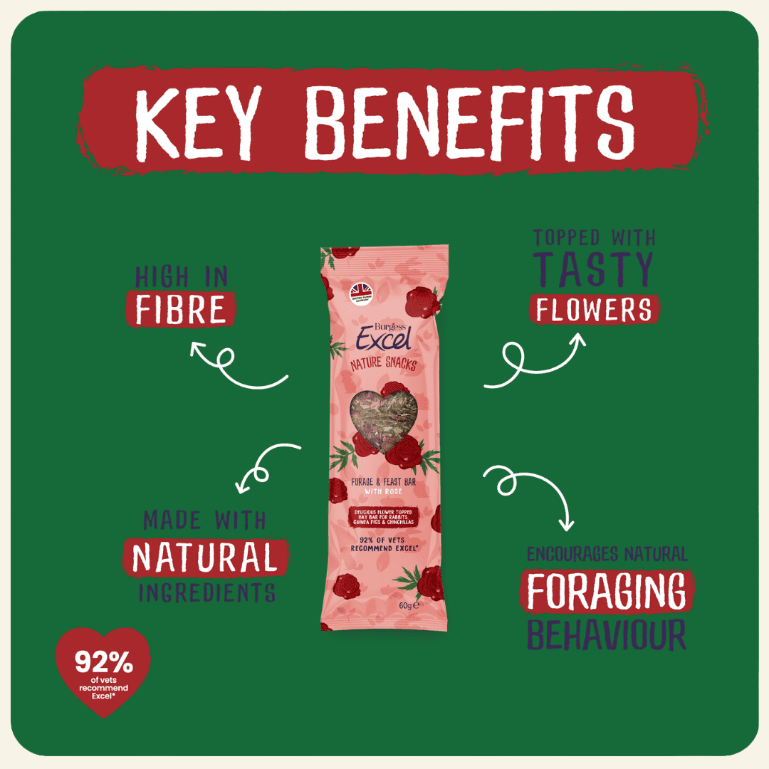 Burgess Excel Forage & Feast Bar With Rose