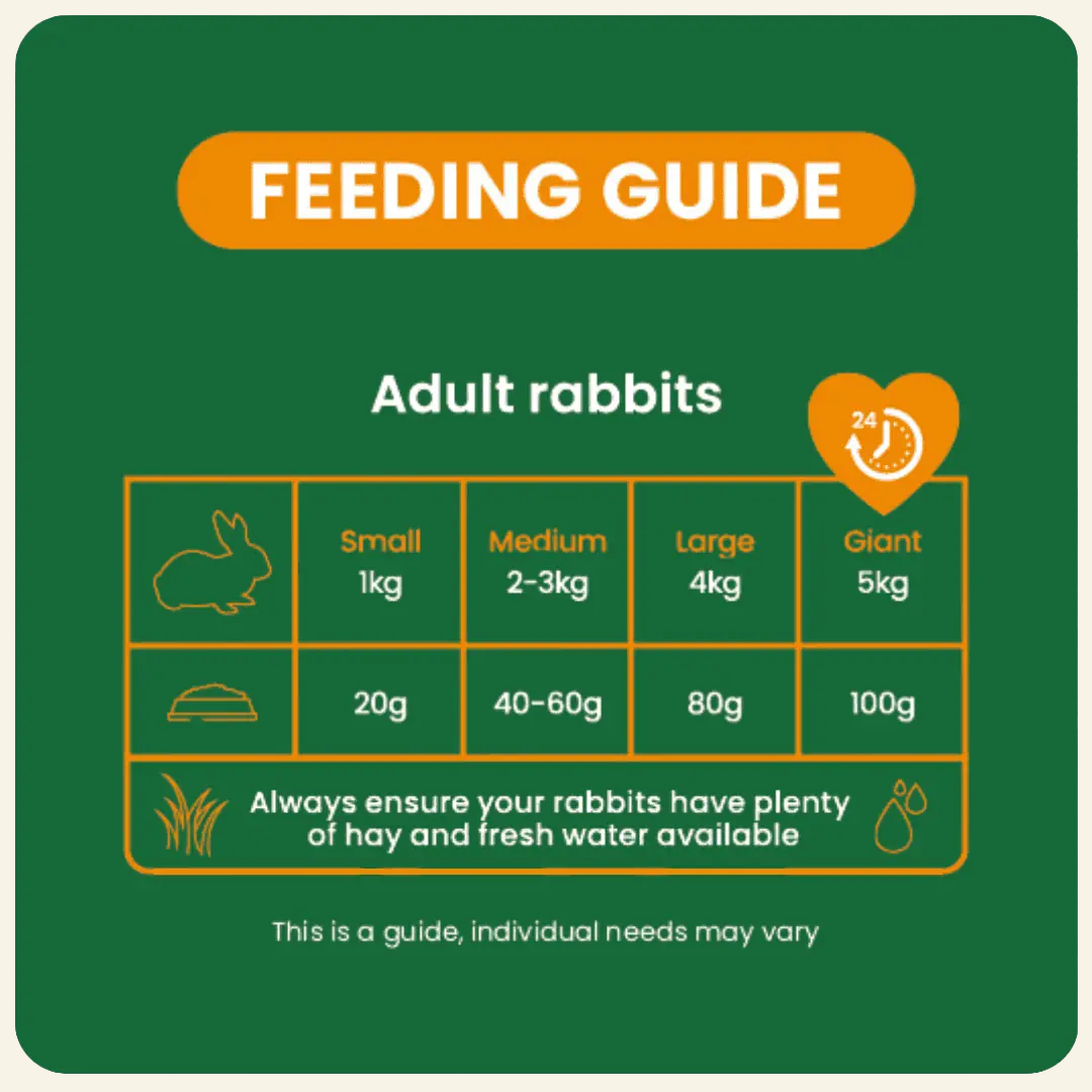 Burgess Excel Indoor Rabbit Food
