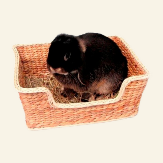Rosewood Chill N Snooze Bed