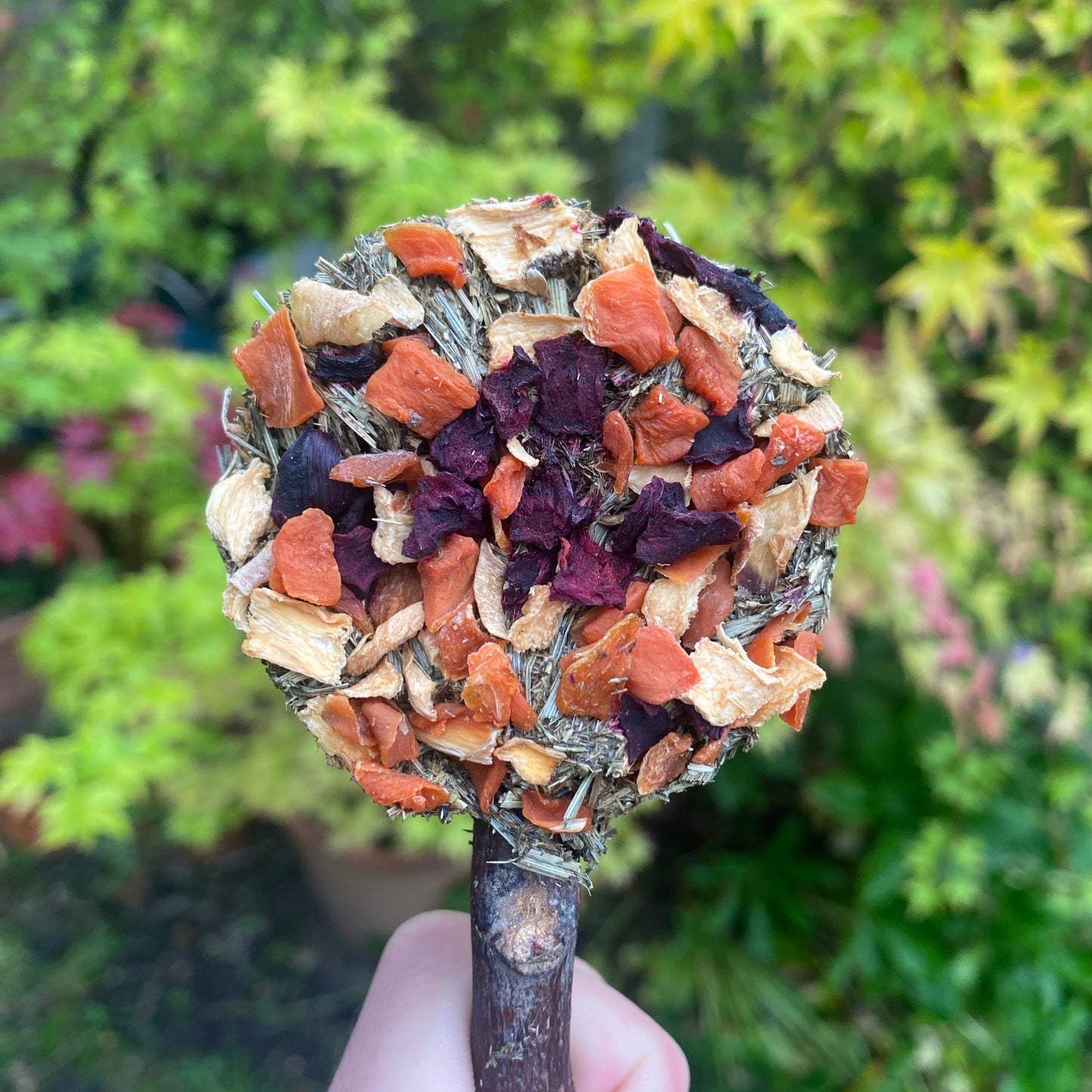 Natural Nibbles Flower & Veggie Lollipops