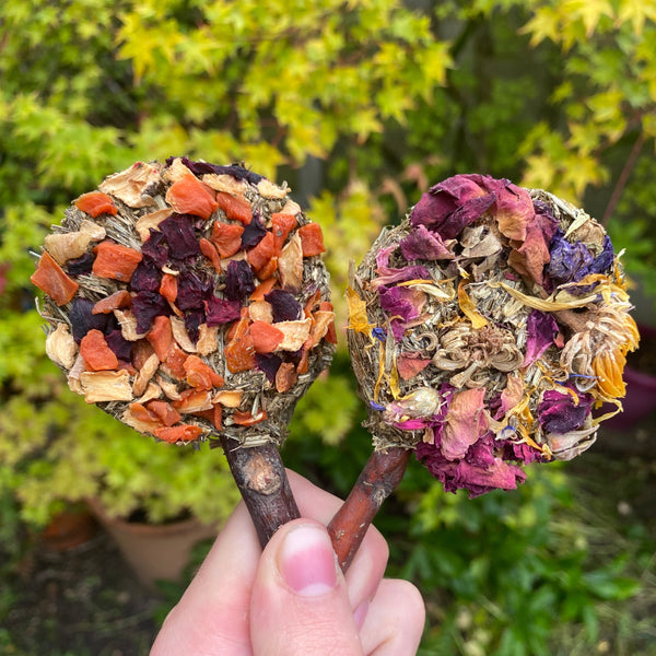Flower & Veggie Lollipops