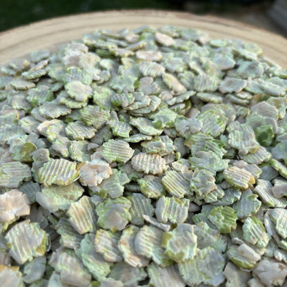 Pea Flakes