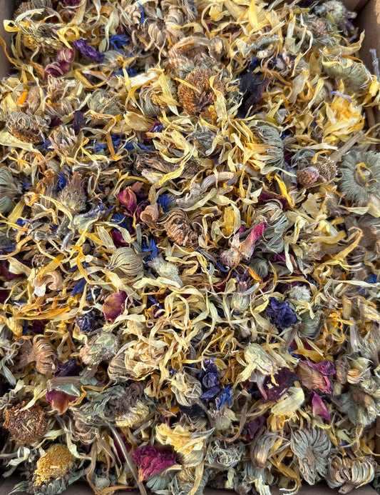 Springtime Forage Blend