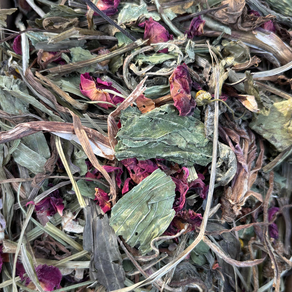 The Cosy Burrow Forage Blend