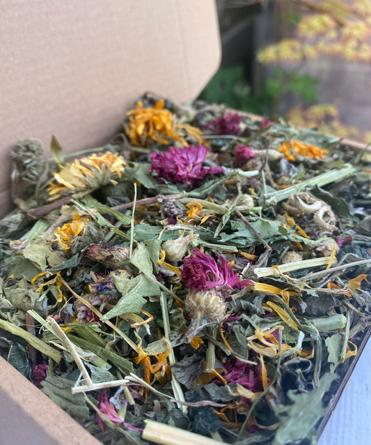 Flower & Herb Salad