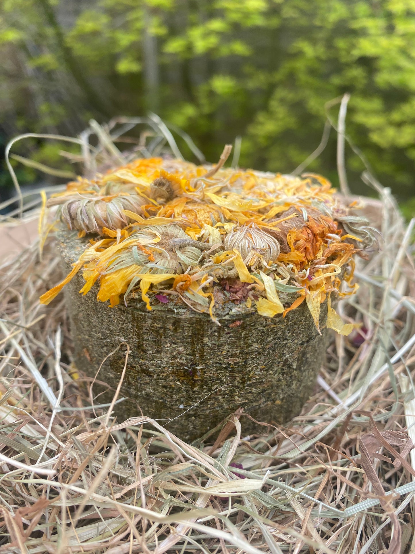 Botanical cookies