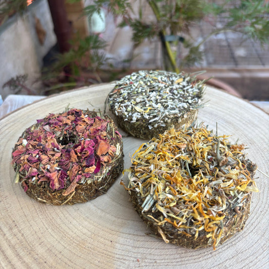 Forage Donuts