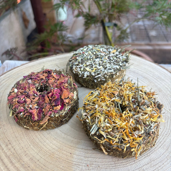 Forage Donuts