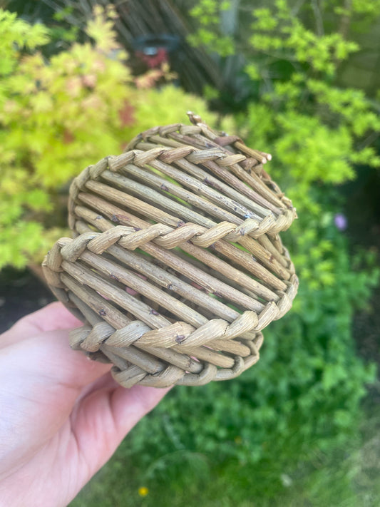 Willow Ball